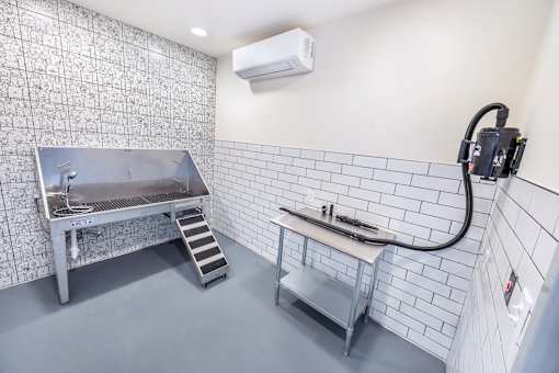 A kitchen with a stainless steel sink and a white tile wall.