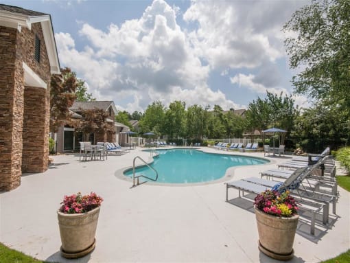 Pool and Spa
