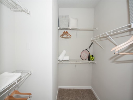 Renovated Model