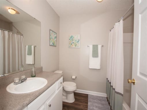Full size bathroom space