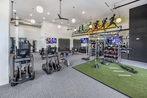 A gym with a variety of equipment including treadmills, elliptical machines, and a weight rack.