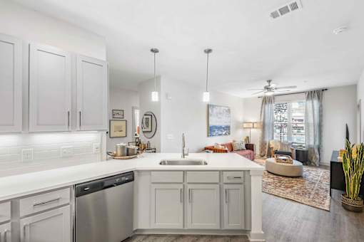 A modern kitchen with a dishwasher, sink, and cabinets.