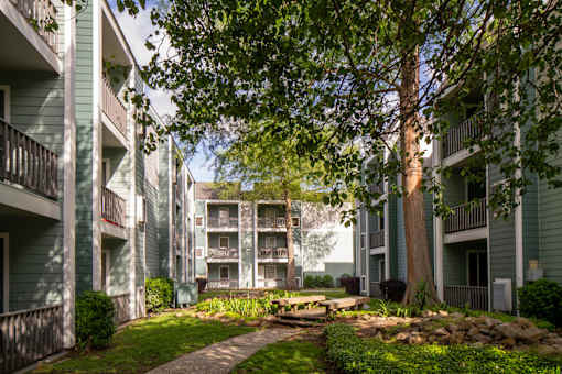 A tree in front of apartment buildings.