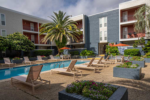 A poolside area with lounge chairs and a palm tree.