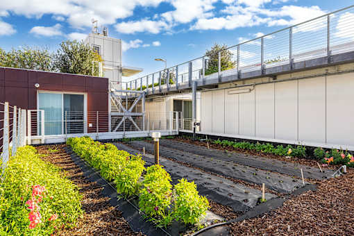 A garden with a building in the background.