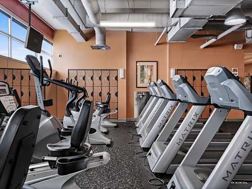 A gym with a row of treadmills and a painting on the wall.