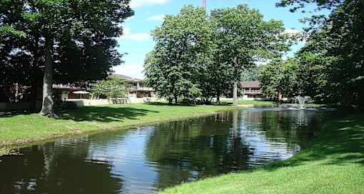 A serene park with a pond and trees.
