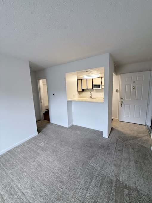 Waterford Court SN1 A room with a grey carpet and white walls.
