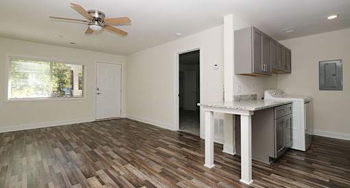 affordable section 8 stone mountain an empty living room with a kitchen and a ceiling fan