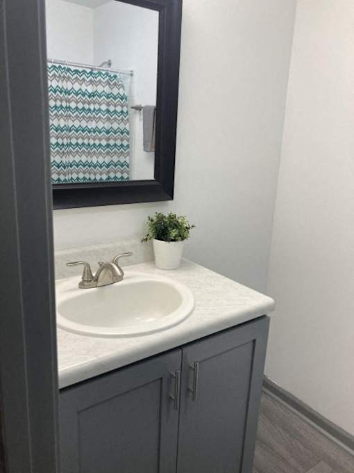 a bathroom with a sink and a mirror