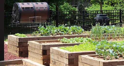 a vegetable garden in a yard with a fermenter