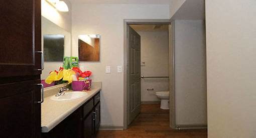 a bathroom with a sink and a toilet