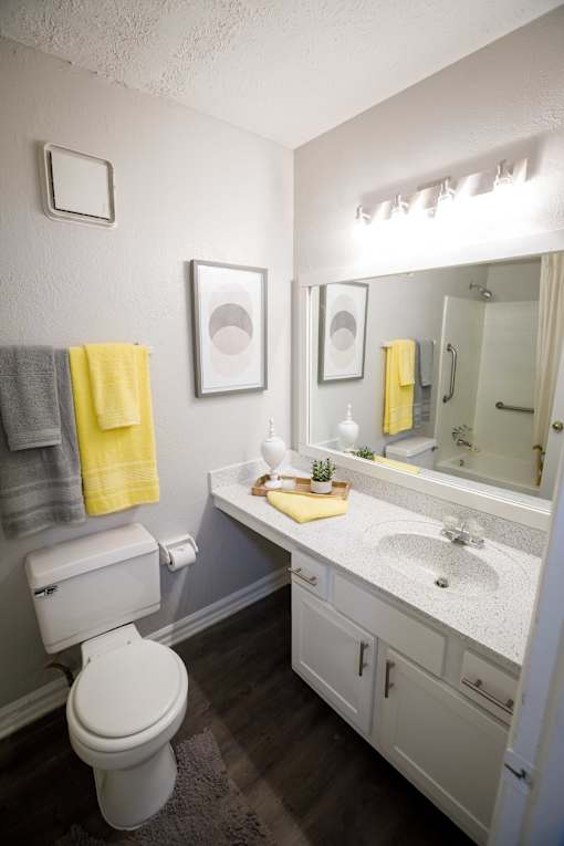 decatur luxury living a bathroom with a toilet and a sink and a mirror