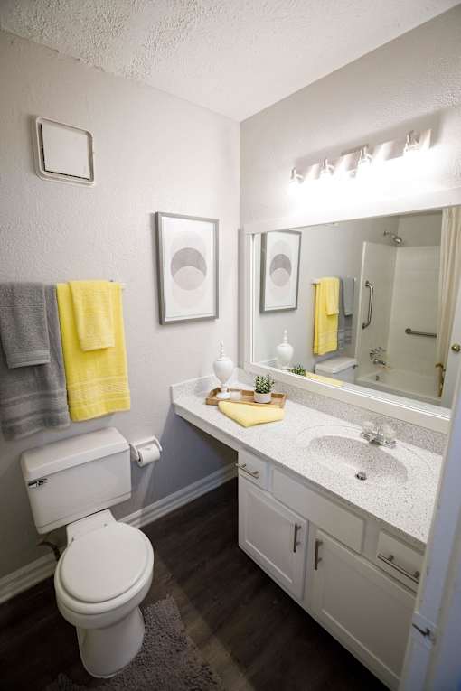 a bathroom with a toilet and a sink and a mirror