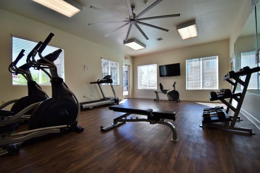 Fitness Room, Treadmills, Weights and bench,  large ceiling fan, 2 ellipticals, TV, wood plank floor, 3 windows