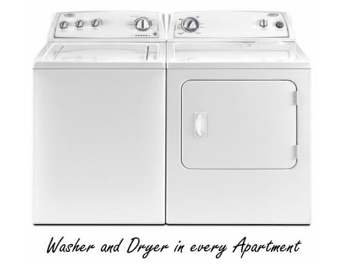 Full Size Washer Dryer in every unit