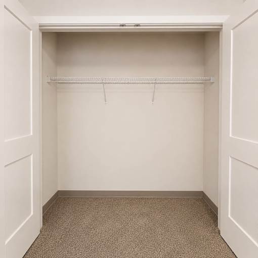 A white closet with a shelf and carpeted floor.
