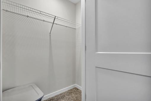 A white closet with a toilet in the corner.