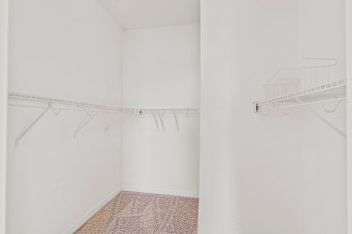 A white room with a carpet and two shelves.