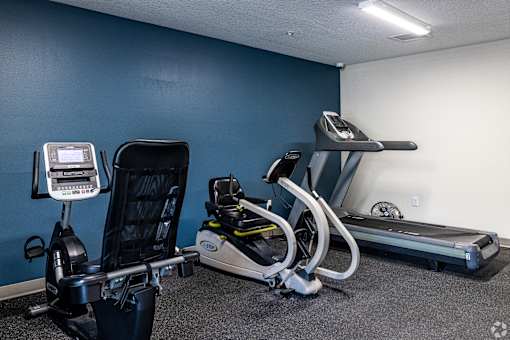 A gym with a treadmill, a stationary bike, and a rowing machine.