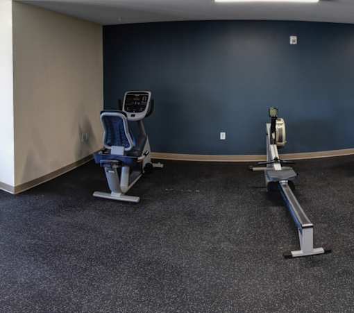 A gym with a treadmill and a rowing machine.