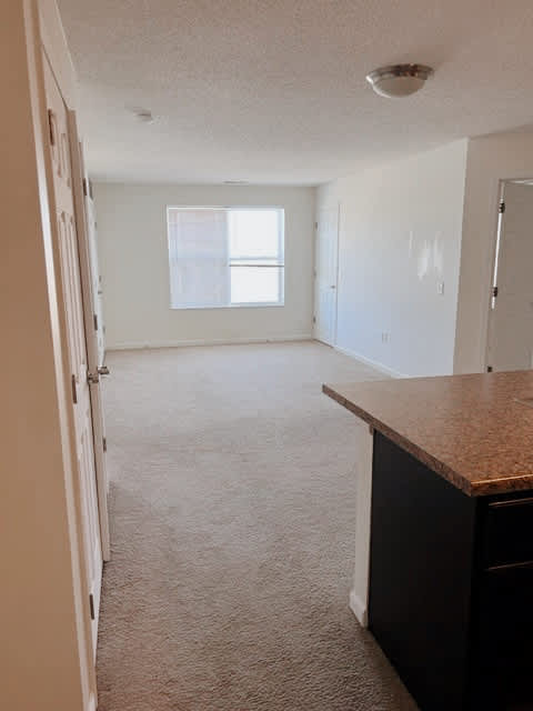 A room with a brown counter and carpeted floor.