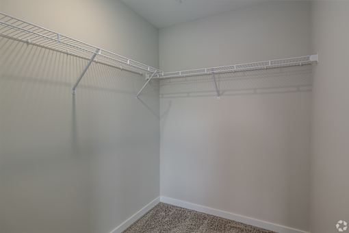 Empty room with a white wall and a grey carpet.