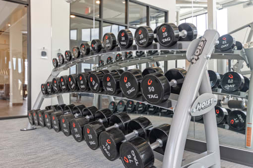 a rack of dumbbells in a gym at Yellowstone Landing, Montana, 59714