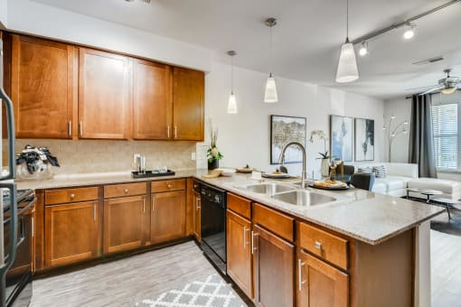 Fully Furnished Kitchen at Discovery at Craig Ranch, McKinney