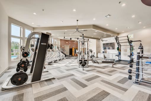 Fitness Center With Modern Equipment at Discovery at Craig Ranch, McKinney, TX