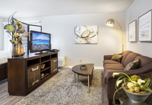 Living room at The Falls, Mission, KS
