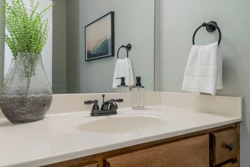 Sink With Faucet at Prairie Pines Townhomes, Kansas, 66226