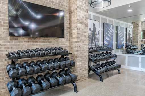 Gym with Row of Black Dumbbells at Edge 35 Apartments, Indiana, 46203