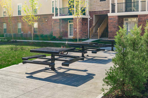 picnic tables next to small trees at The Greyson, Ohio
