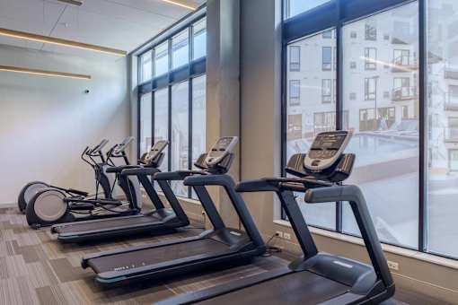 A row of treadmills are lined up in a gym.