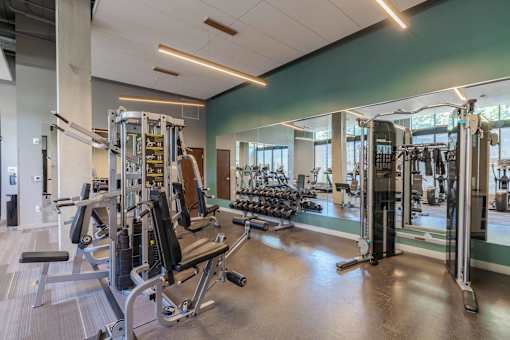 A gym with a variety of equipment including a squat rack, a leg press machine, and a bench press.