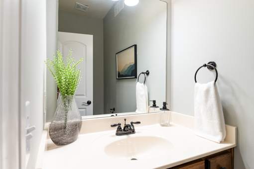 A bathroom with a white sink and a mirror.