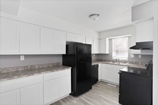 Fully Furnished Kitchen at Spring Creek Townhomes, Illinois