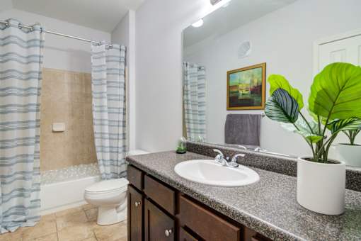 A bathroom with a toilet, sink, and a potted plant at Sovereign at Overland Park Apartments, Overland Park, KS