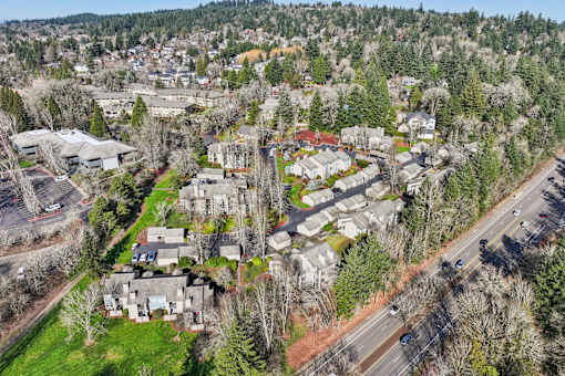 A bird's eye view of a residential area with houses and trees.