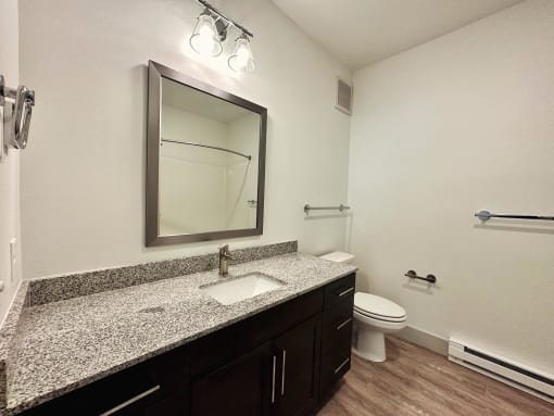 a bathroom with a sink and a toilet