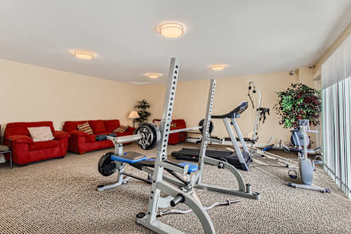 A home gym with a weightlifting bench, a treadmill, and a potted plant.