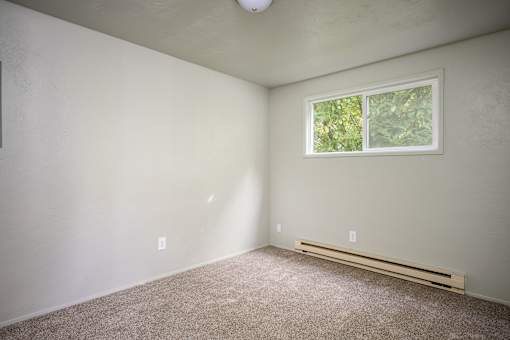 A room with a window and a carpeted floor.