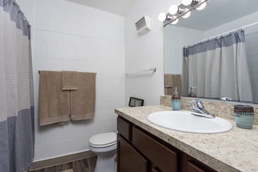 a bathroom with a sink and a toilet and a shower