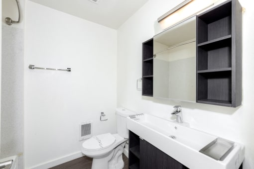 Holgate Lofts Apartments | Bathroom