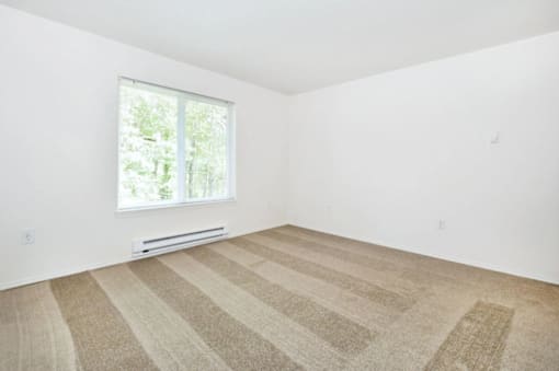 A room with a striped carpet and a window.