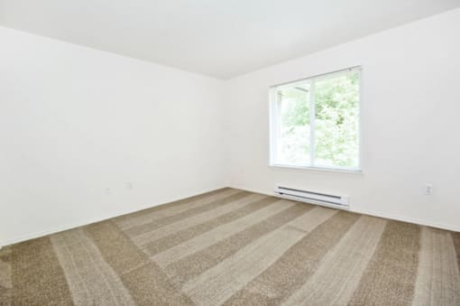 A room with a striped carpet and a window.