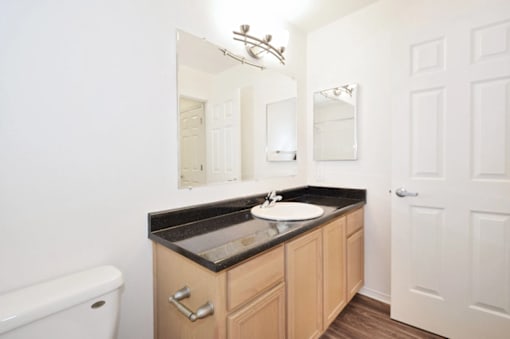 A bathroom with a sink, mirror, and toilet.