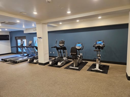 a gym with cardio equipment in a large room with a blue wall