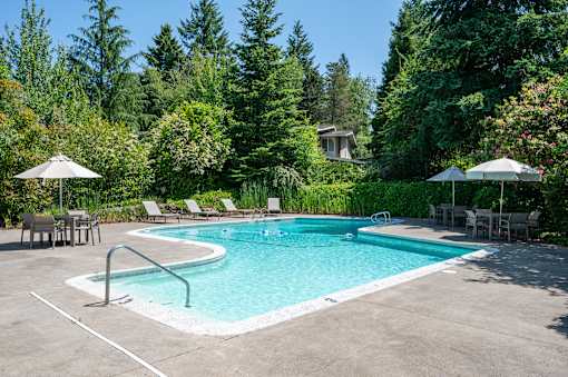 A pool surrounded by trees and chairs.